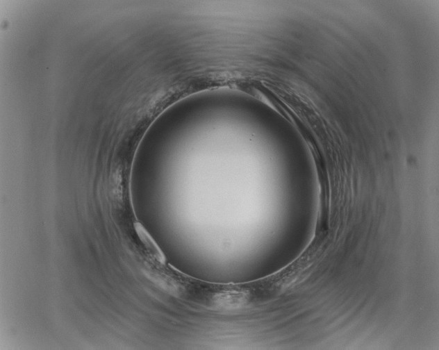 X0000063480700200601231347