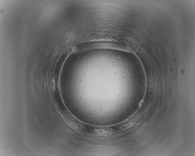 X0000063480703200601231347