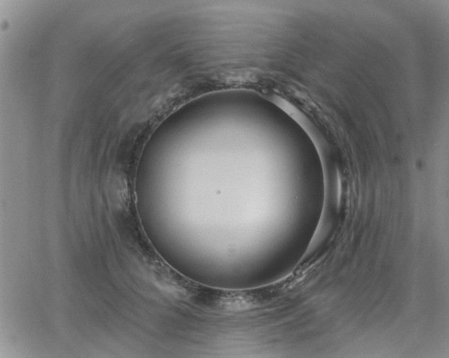 X0000063480704200601231347