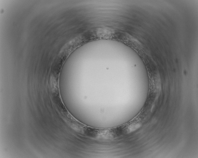 X0000063480705200601231347