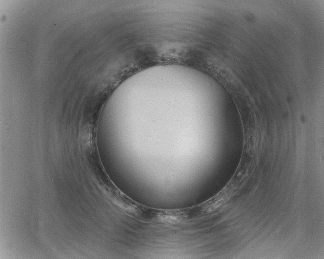 X0000063480706200601231347