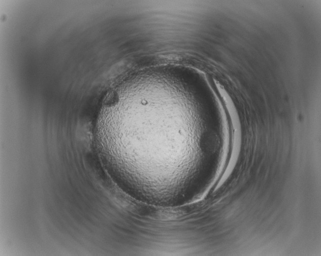 X0000063480707200601231347