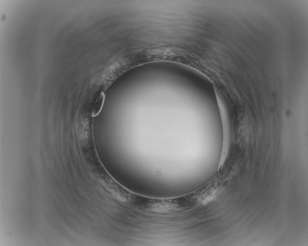 X0000063480708200601231347