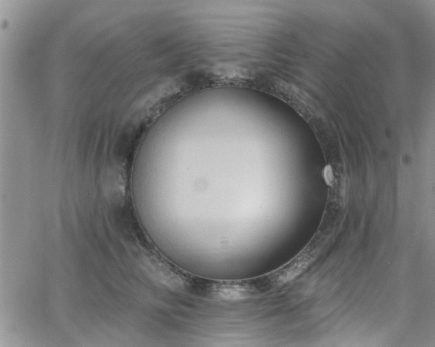 X0000063480710200601231347