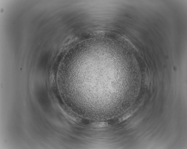 X0000063480711200601231347