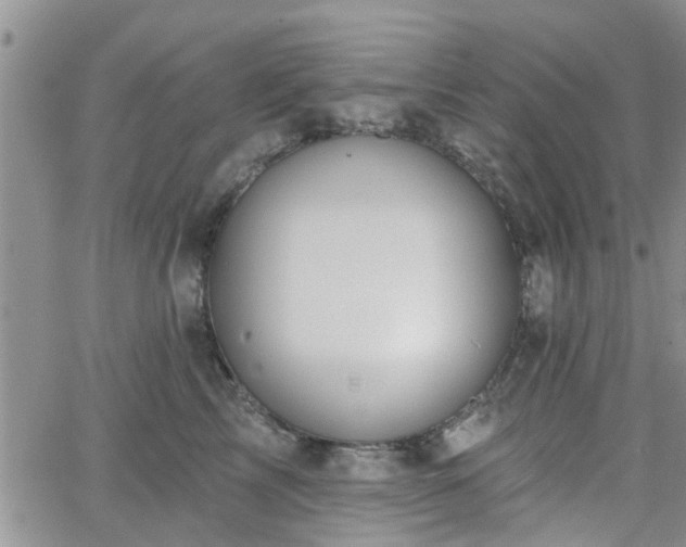 X0000063480713200601231347