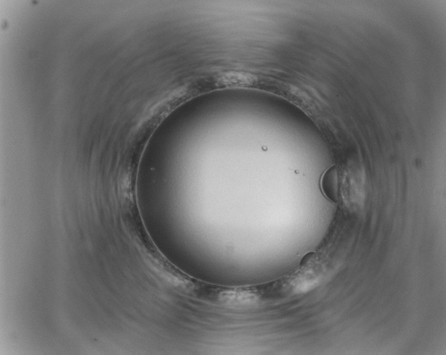 X0000063480714200601231347