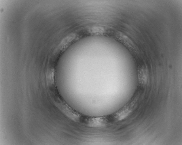 X0000063480717200601231347