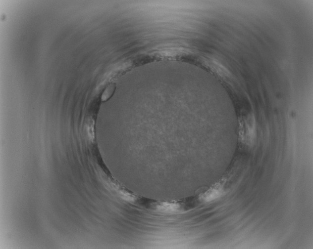 X0000063480718200601231347