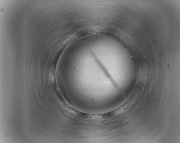 X0000063480719200601231347