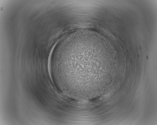 X0000063480720200601231347