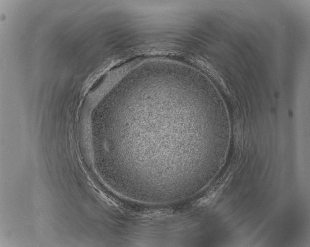 X0000063480721200601231346