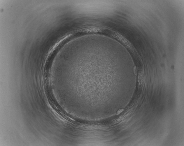 X0000063480722200601231346