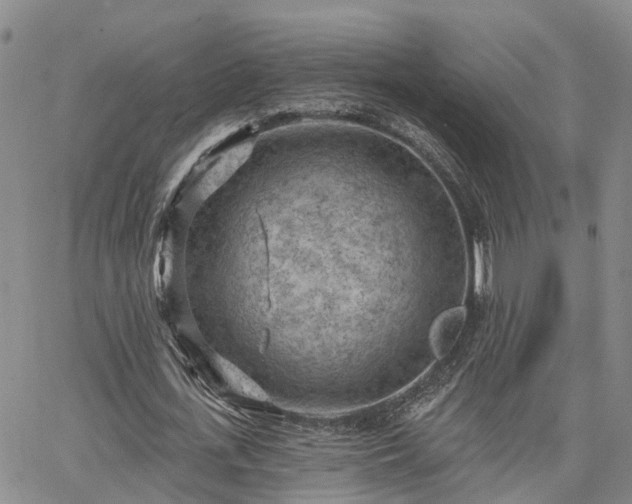 X0000063480723200601231346