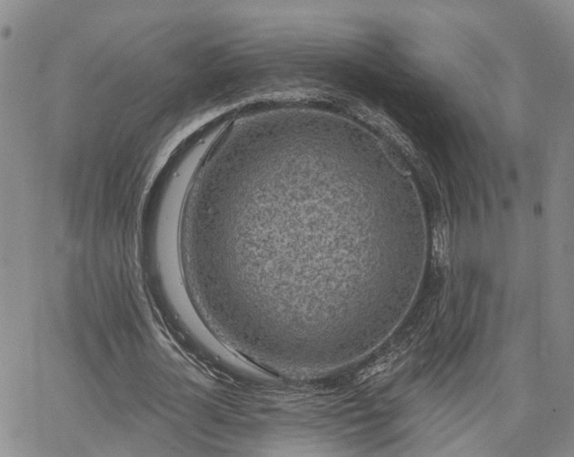 X0000063480724200601231346