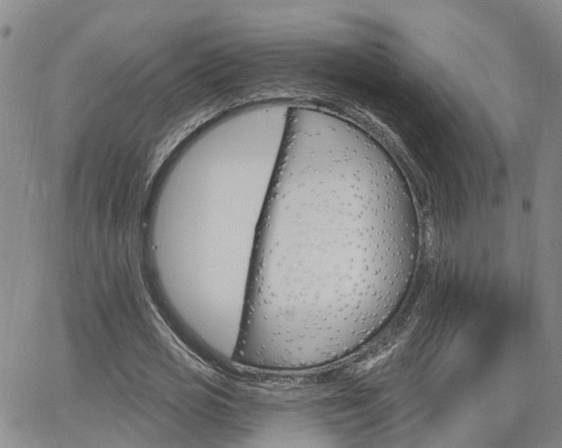 X0000063480725200601231346