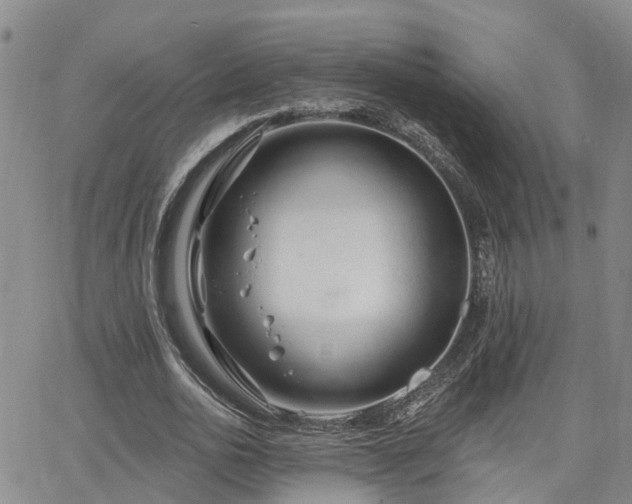 X0000063480726200601231346