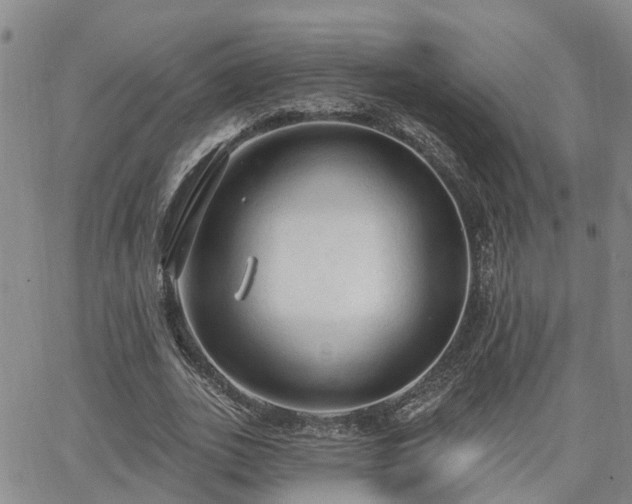 X0000063480727200601231346