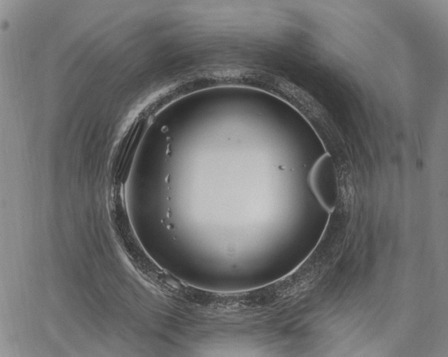 X0000063480728200601231346