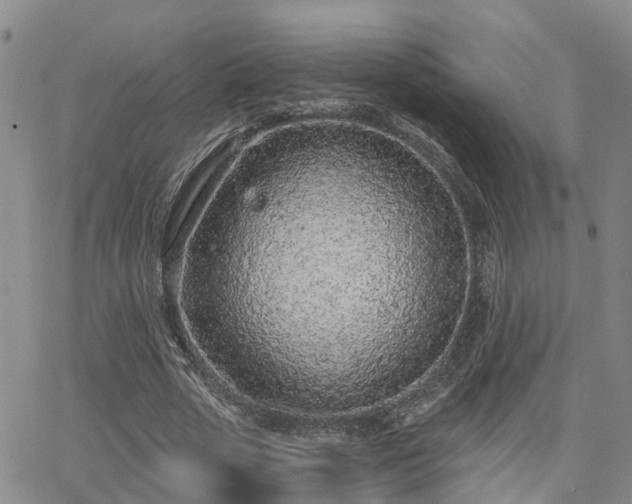 X0000063480729200601231346