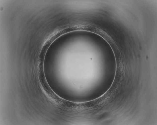 X0000063480730200601231346