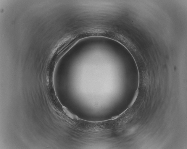 X0000063480731200601231346