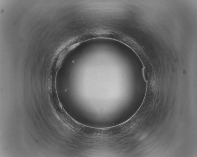 X0000063480732200601231346