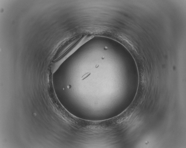 X0000063480733200601231346