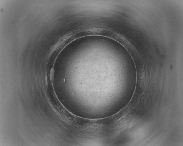 X0000063480734200601231346