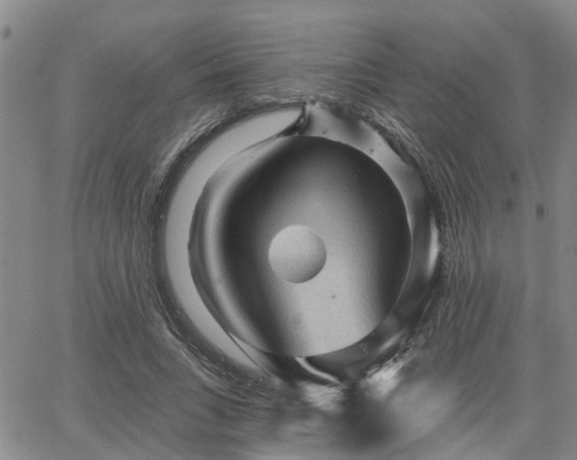 X0000063480735200601231346