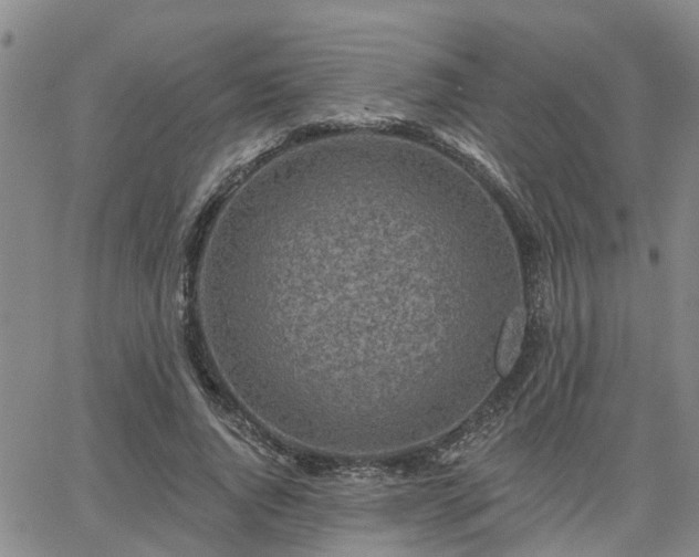 X0000063480736200601231346