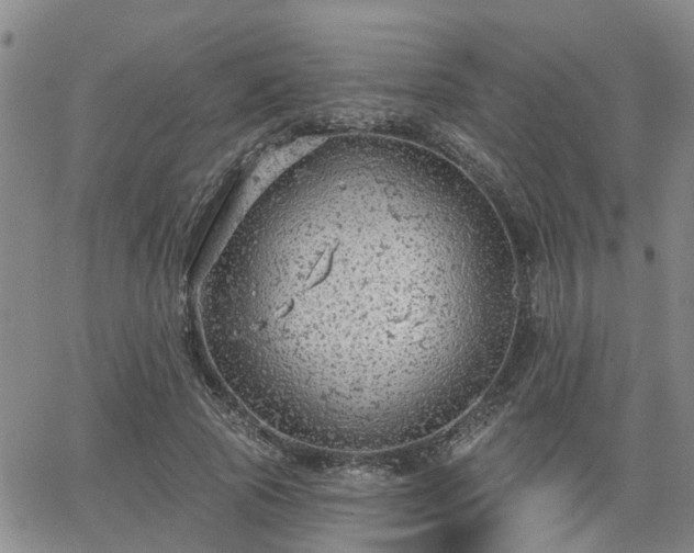 X0000063480737200601231346