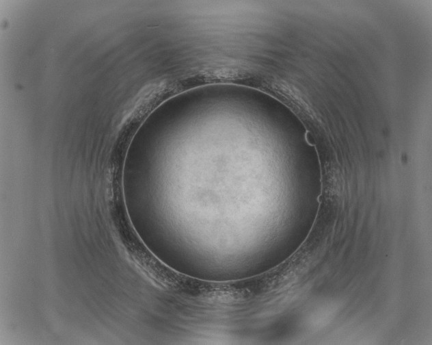 X0000063480738200601231346