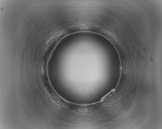 X0000063480740200601231346