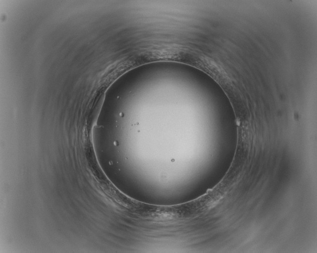 X0000063480741200601231346