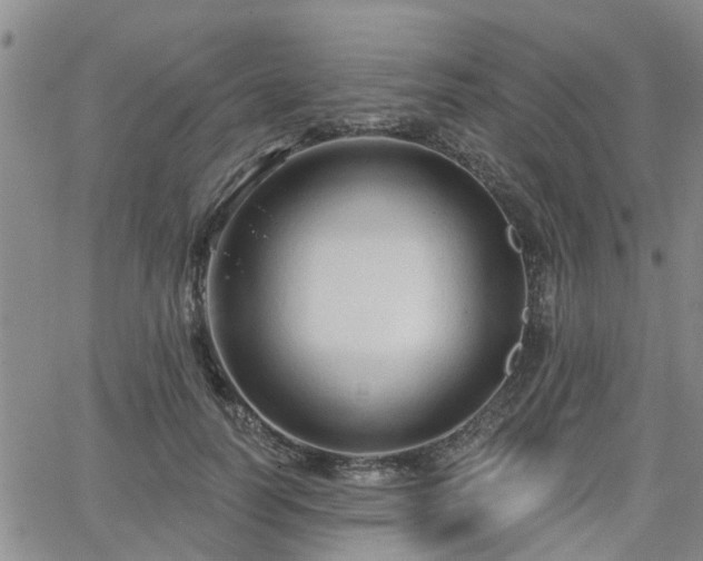 X0000063480746200601231346