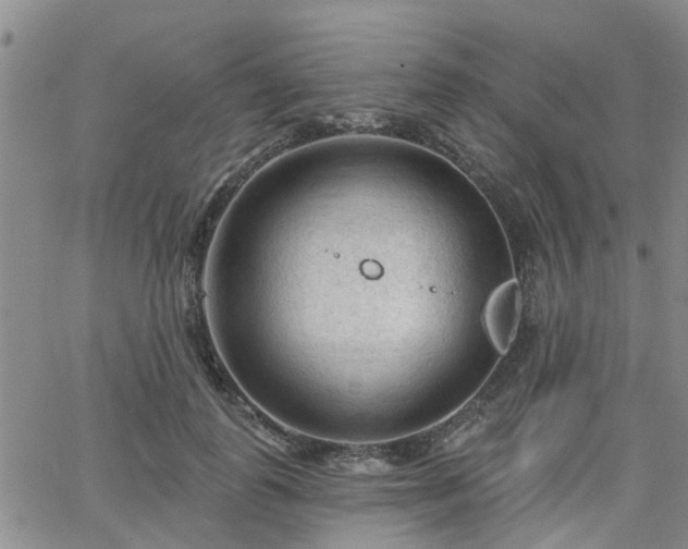 X0000063480747200601231346