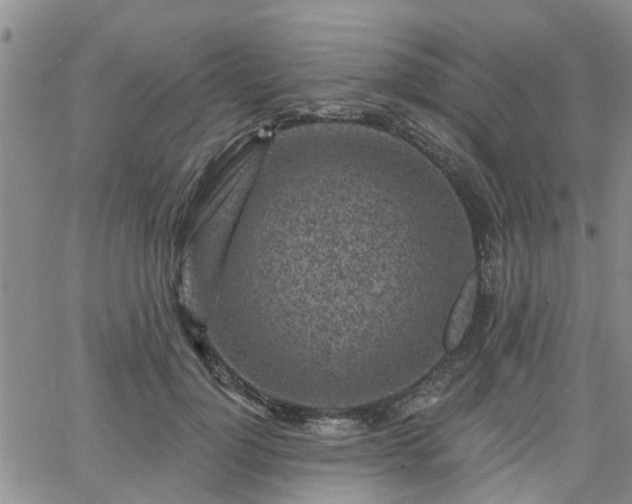 X0000063480748200601231346