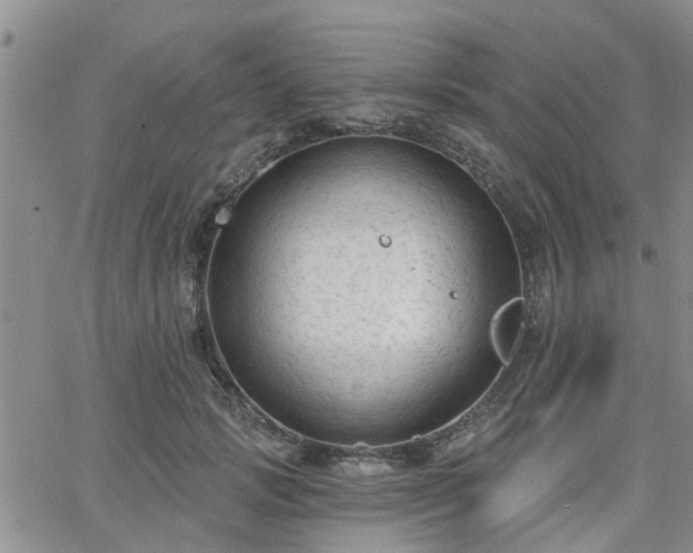 X0000063480749200601231346