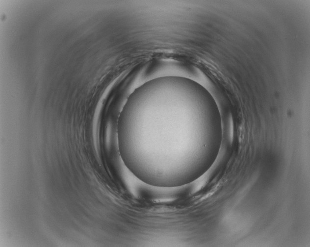 X0000063480750200601231346