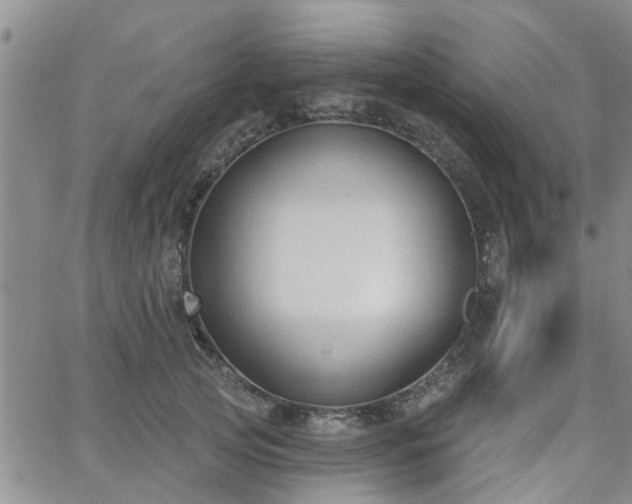 X0000063480753200601231346