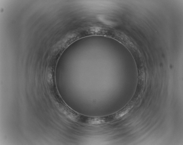 X0000063480754200601231346