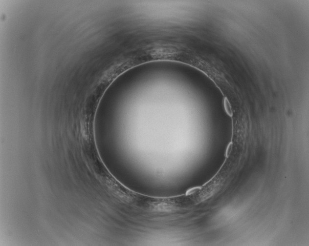 X0000063480755200601231346