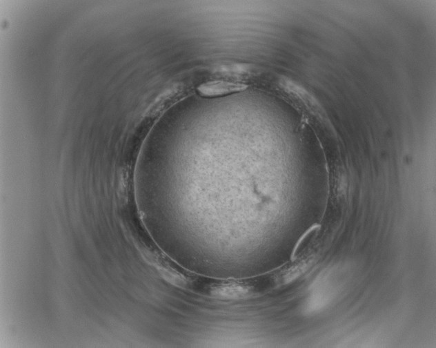 X0000063480759200601231346