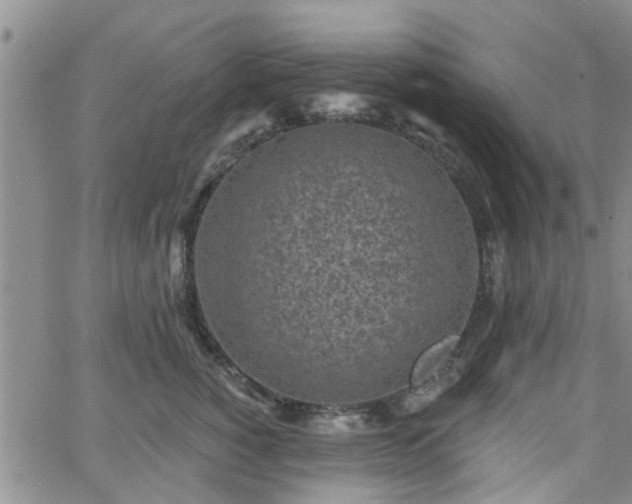 X0000063480760200601231347