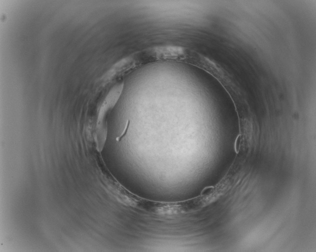 X0000063480761200601231347