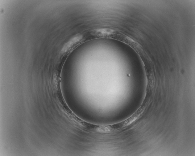 X0000063480762200601231347