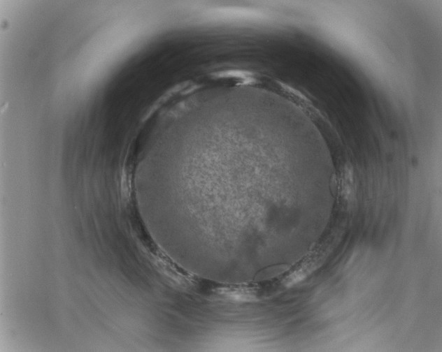 X0000063480763200601231347