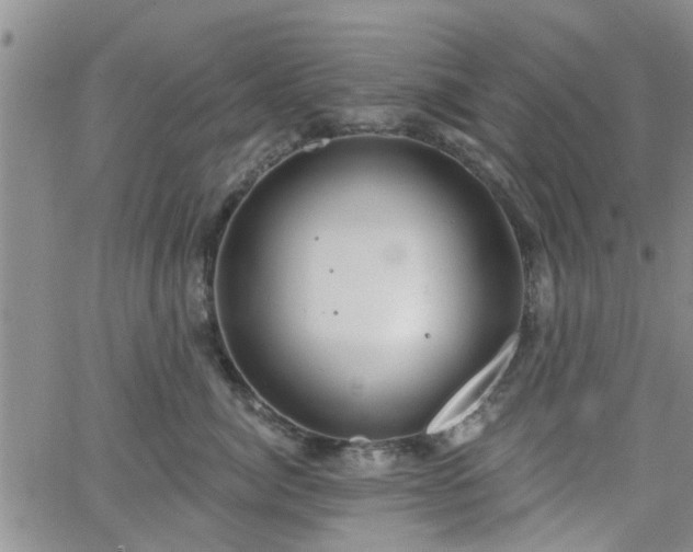 X0000063480764200601231347