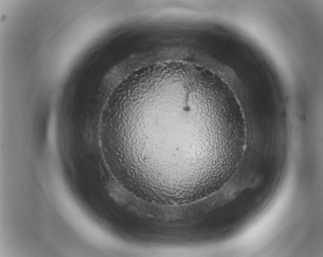 X0000063480765200601231347